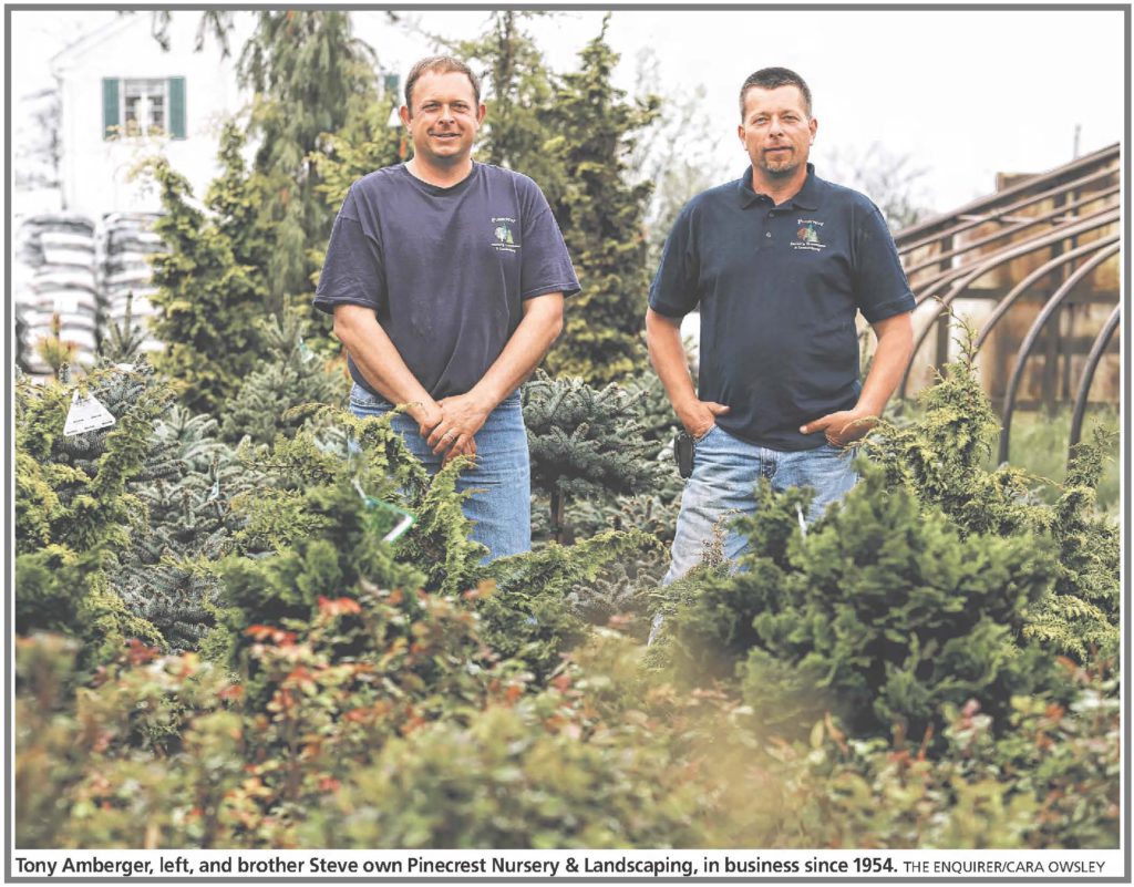 Pinecrest Nursery & Landscaping Company » Full Service Nursery