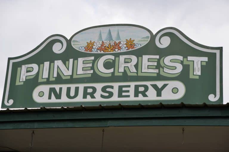 Pinecrest Nursery & Landscaping Company » Full Service Nursery, Greenhouse & Landscaping Service