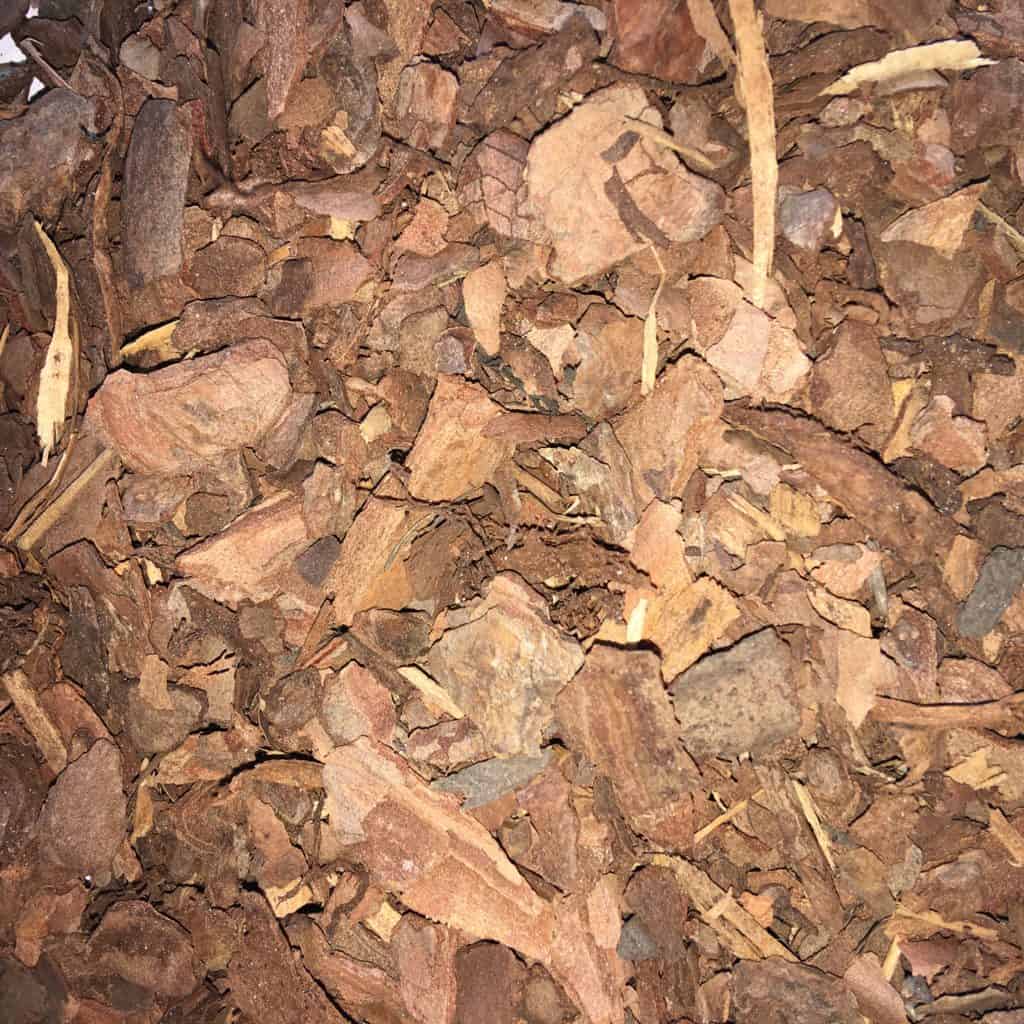 Pinecrest Nursery & Landscaping Company » Full Service Nursery